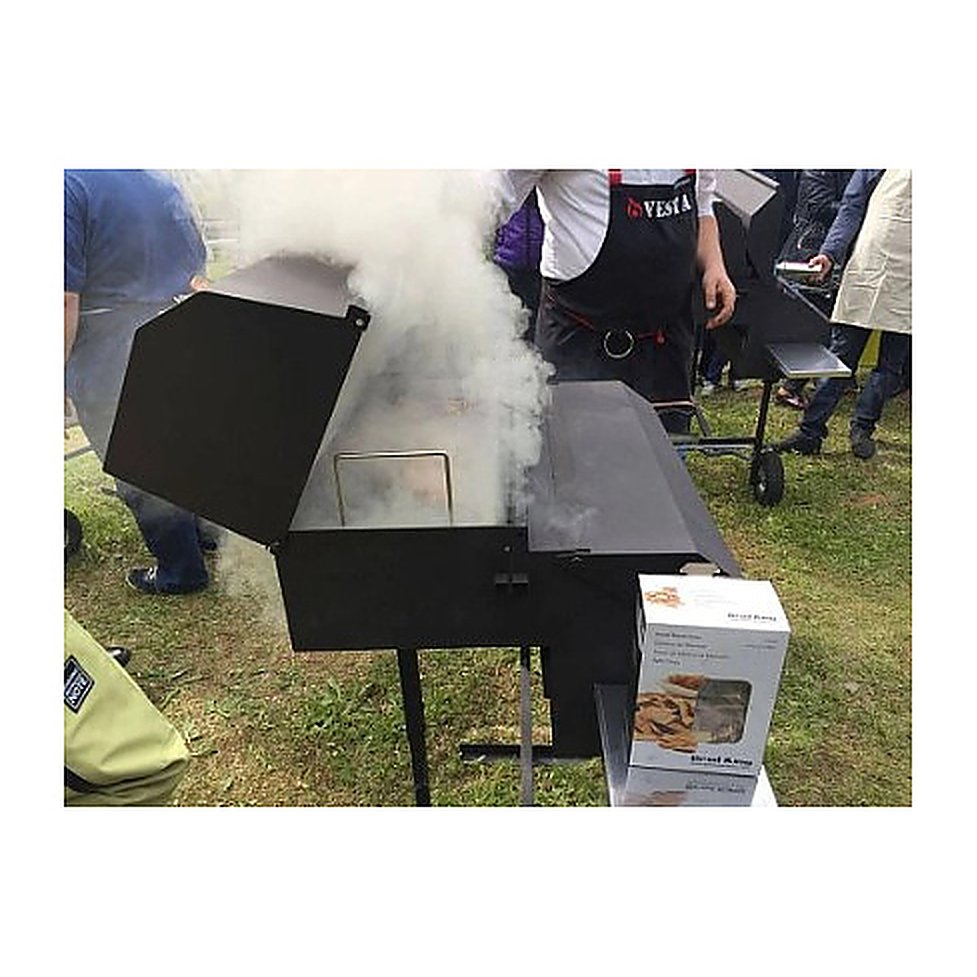 Гриль-коптильня Vesta TEXAS BBQ, фото 3